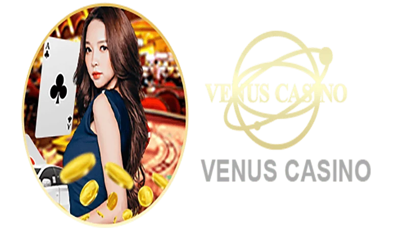 99bet Informações básicas sobre o saguão do cassino Venus